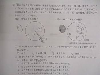 かな　4年前期テスト sddefault.jpg